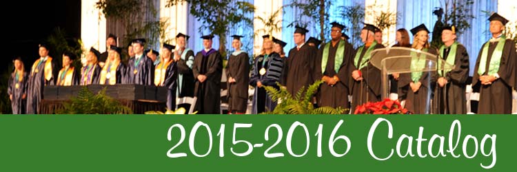 Catalog Header Image